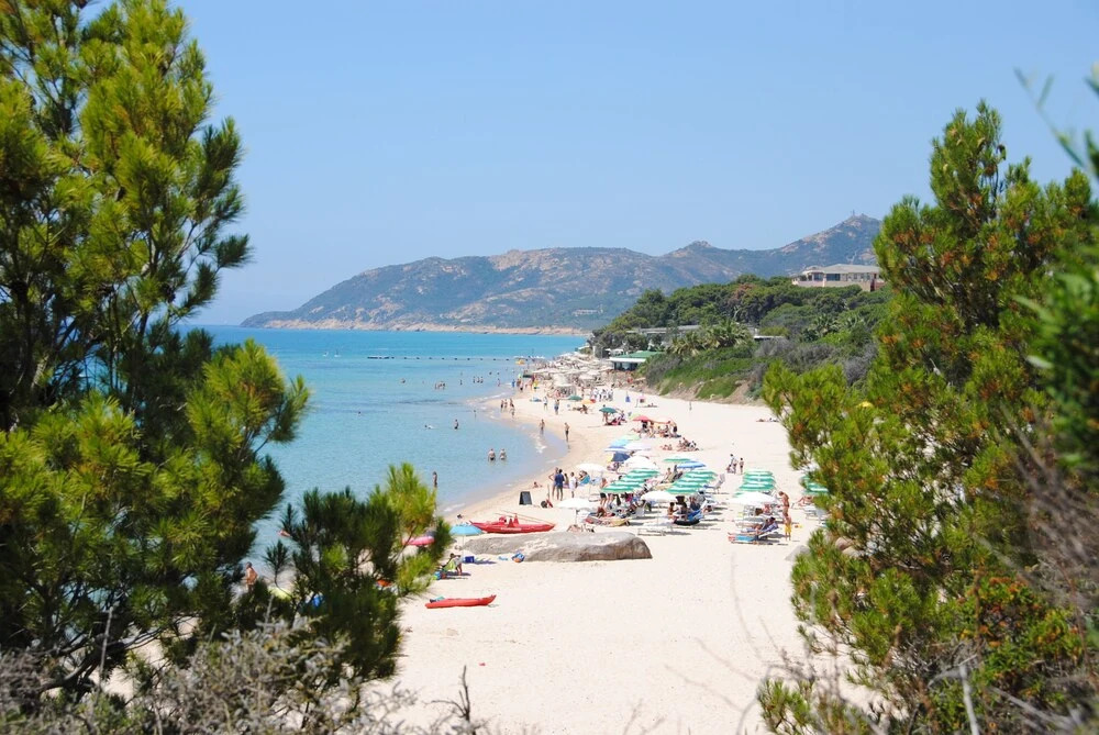 Una pineta sul Mare