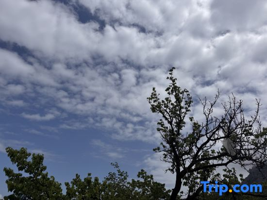Qingdao Qijing Courtyard Homestay (Laoshan Scenic Area Yankou Seawater Bathing Beach)