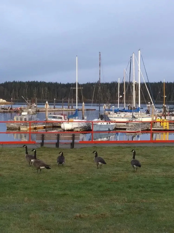 Haida Way Motor Inn