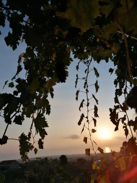 Agriturismo Baglio Calanchi