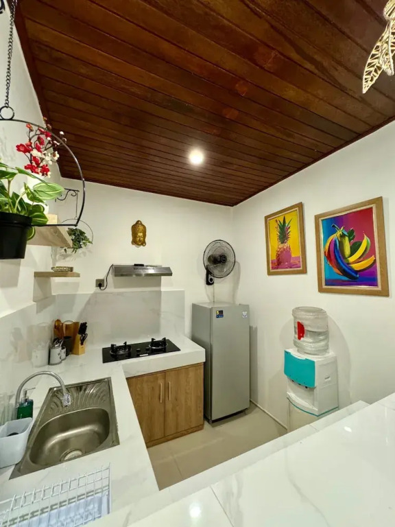Villa Licia - Seseh Area