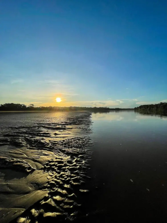 Tronco Tambopata Adventure