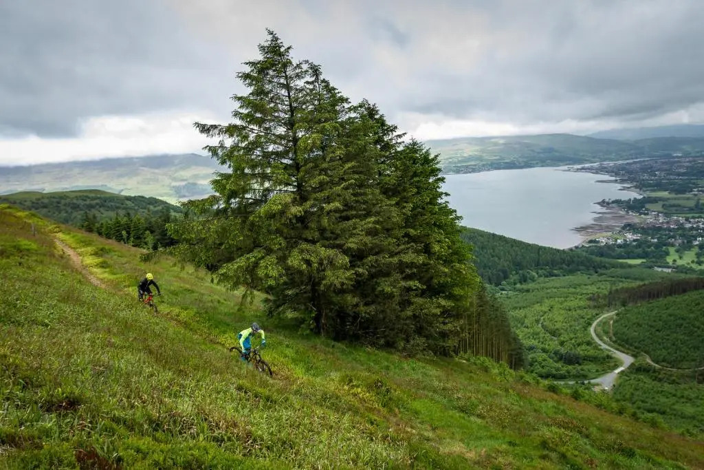 Rostrevor Mountain Lodge Hostel Accommodation