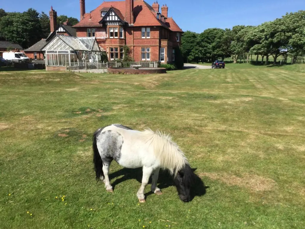 Sandhill House
