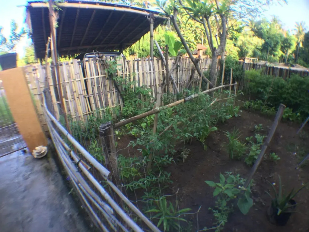 Jeges Homestay