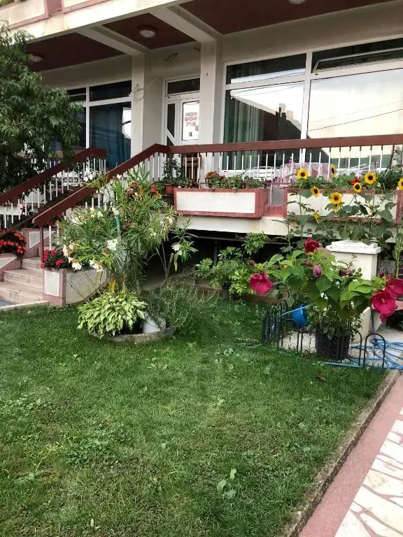 Swiss Hostel
