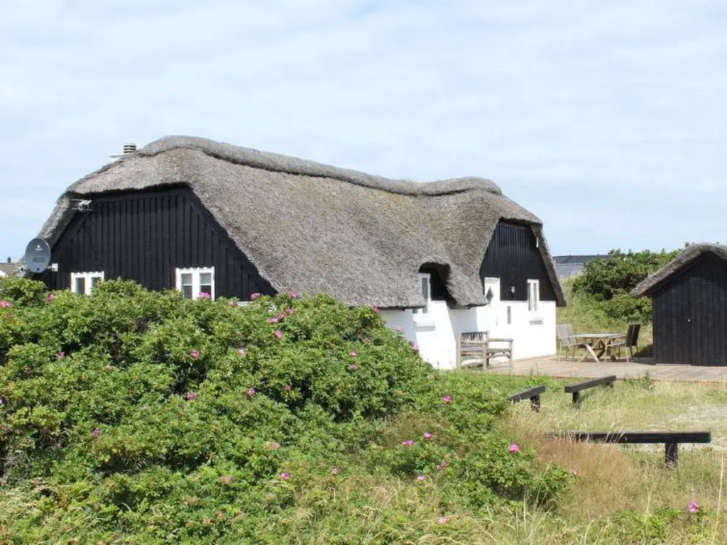 "Irek" - 300m from the sea in Western Jutland