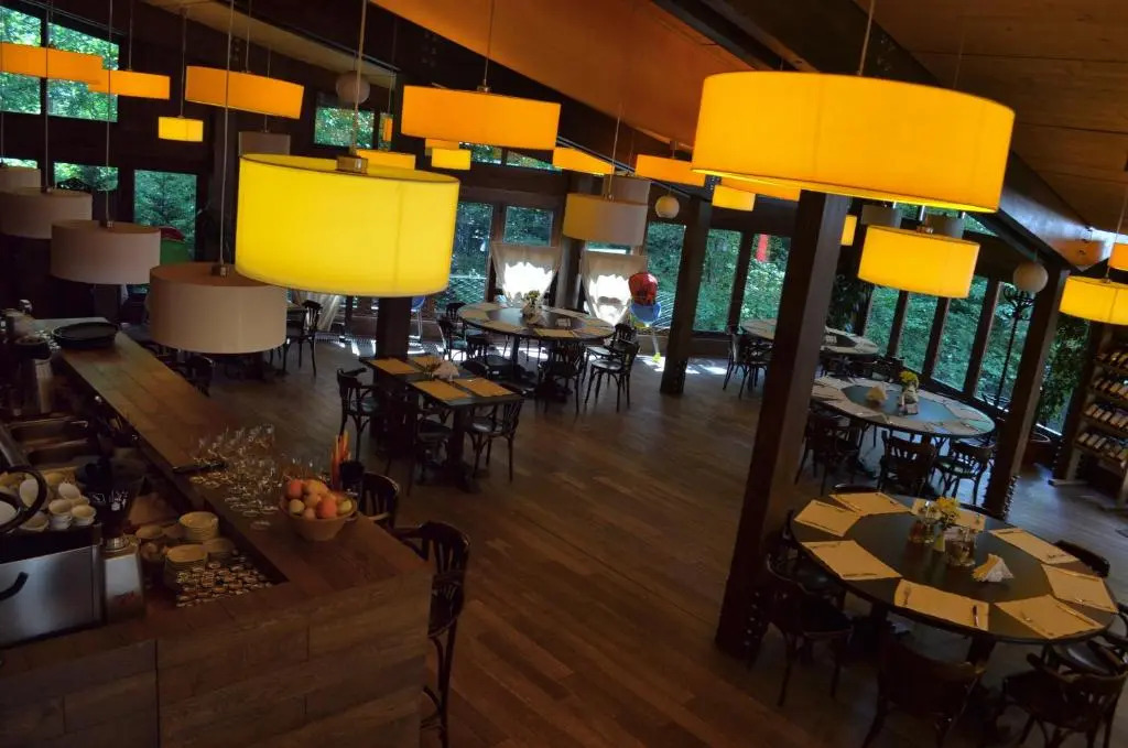 Hotel Piatra Soimului