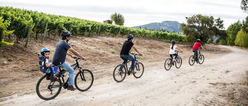 La Casona At Matetic Vineyards