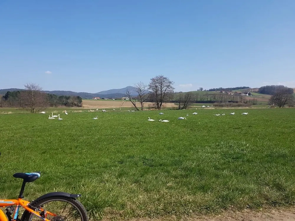 Chambtaler Hof