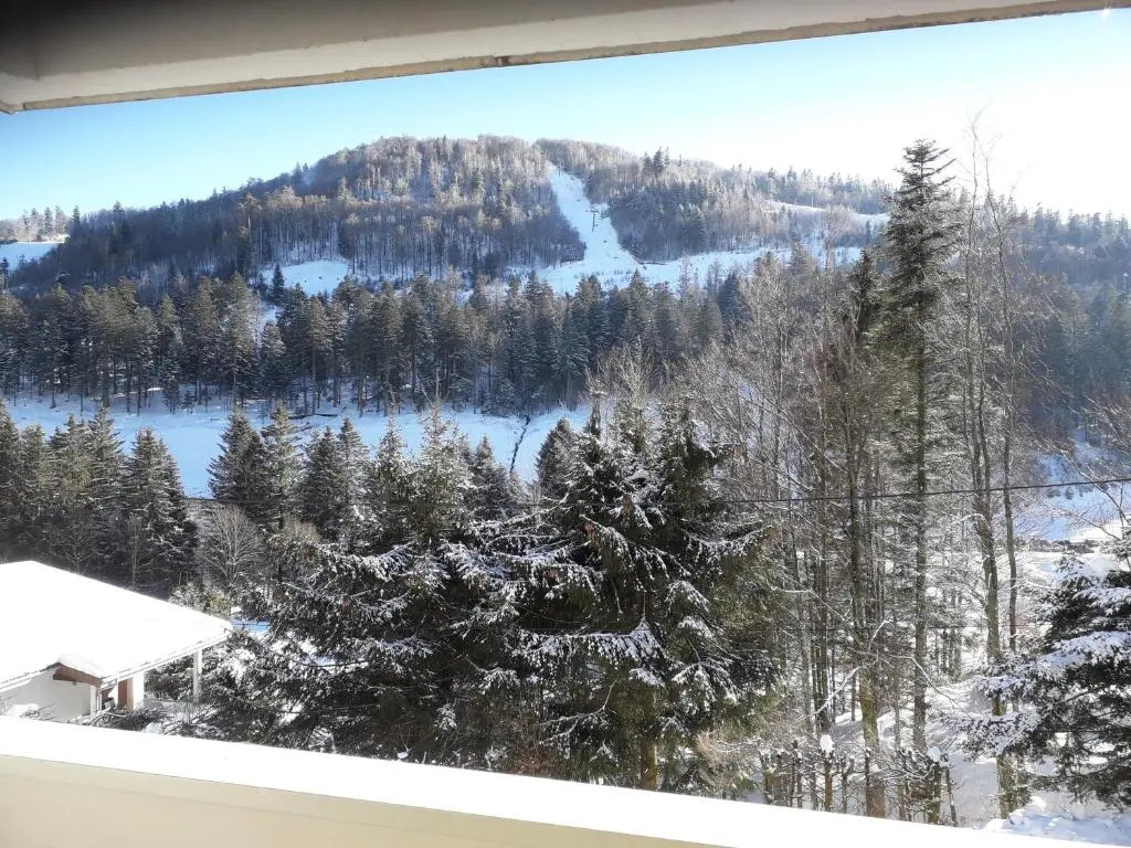 Appartement Les Oursons La Bresse