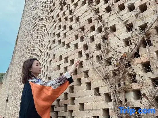 Taoshe Resort Hotel (People's Square Taoyangli Scenic Area Branch)
