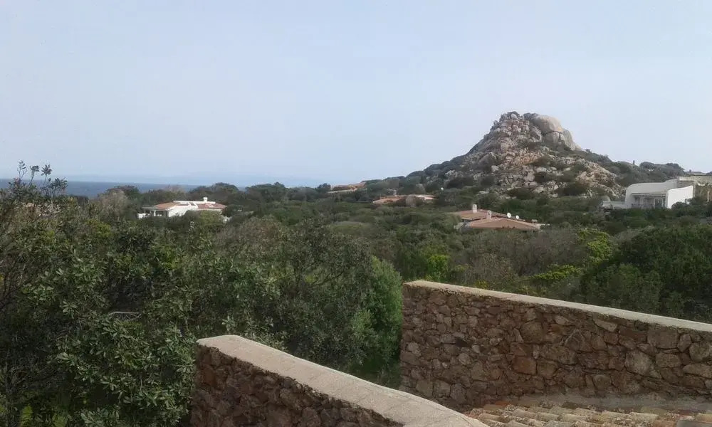 La Petrichina