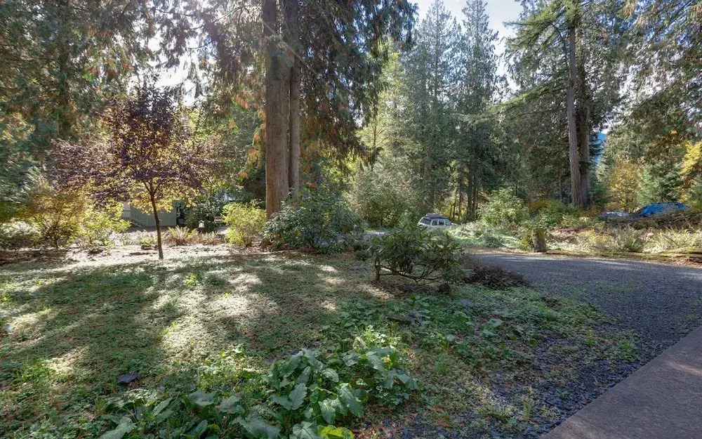 Mt Baker Lodging Cabin 61mbr - A Delightful 1 Story, 3 Bedroom, 2 Bath Cabin