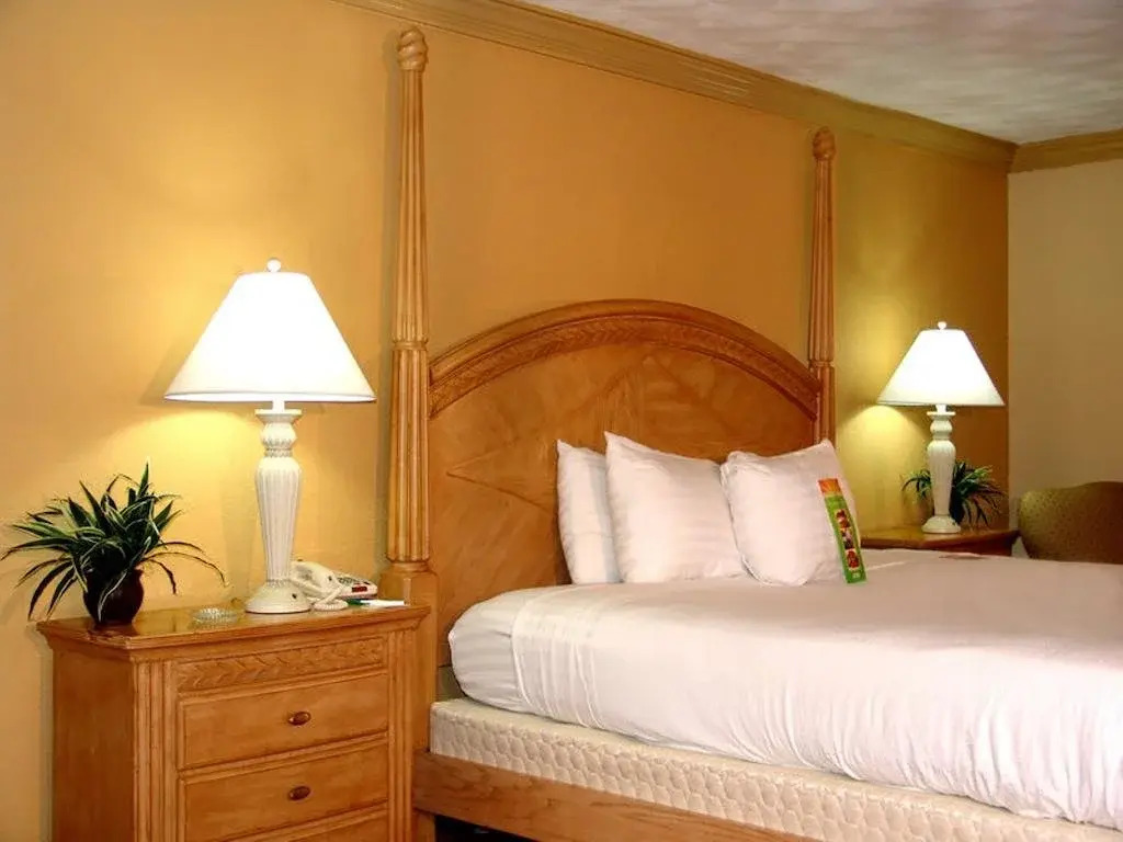 Painted Lady Bed & Breakfast