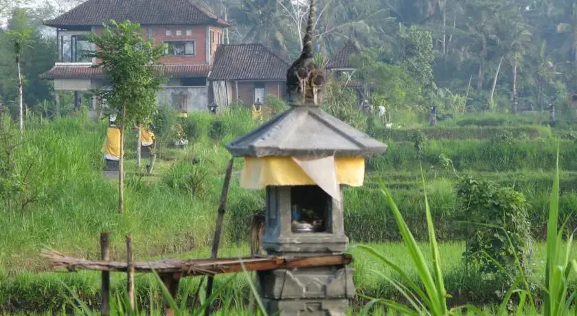 Swallow Guesthouse