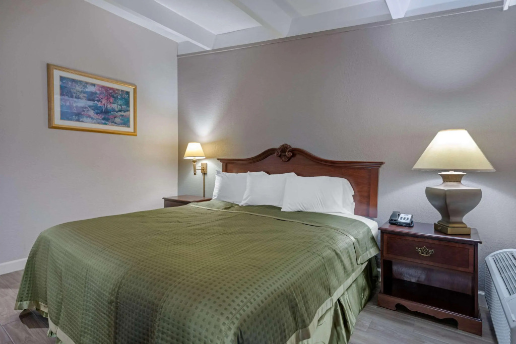 Rodeway Inn Clermont North