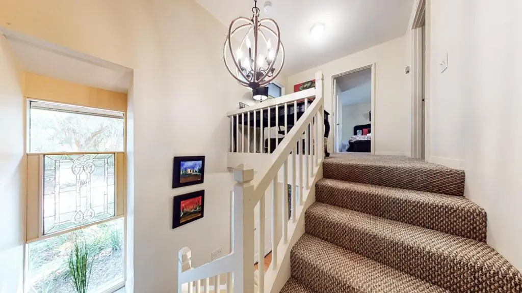 38 Water Oak