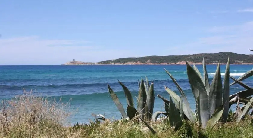 Stella Maris