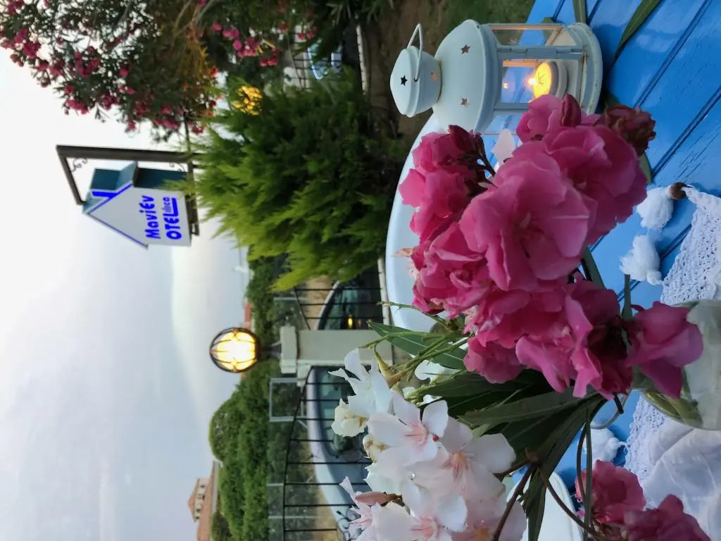 Maviev Otel
