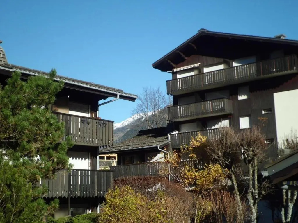 Appartement Chamonix-Mont-Blanc, 1 pièce, 3 personnes - FR-1-517-52