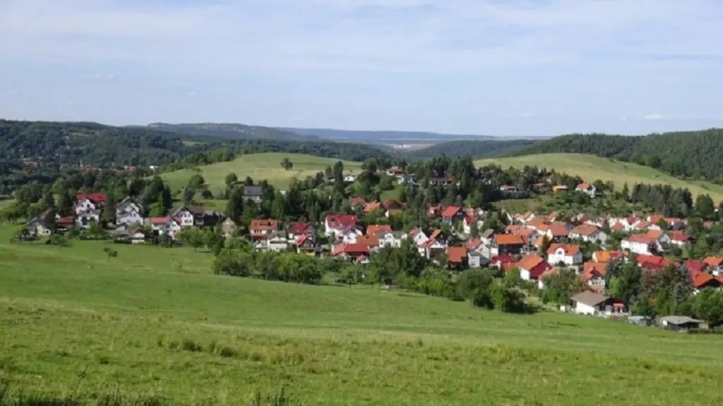 Waldblick - a10644