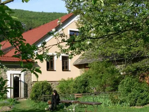 Hotel Vír