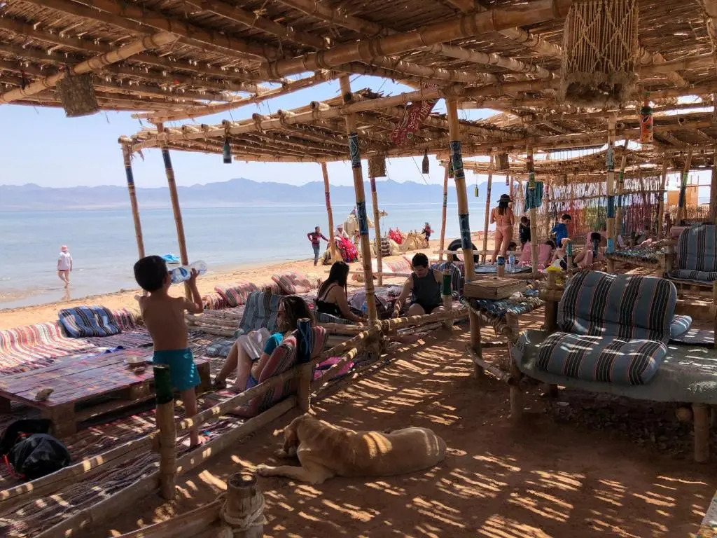 Lala Land Camp