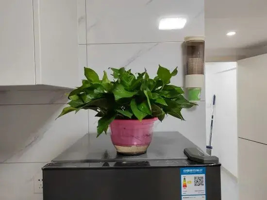 Wuxi Huiyuju Apartment