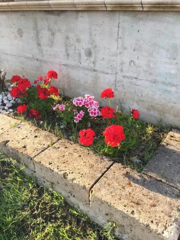 camera con giardino e piscina