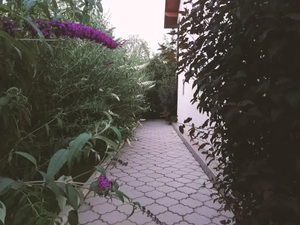 Guest House LETO