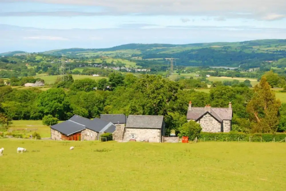 The Piggery
