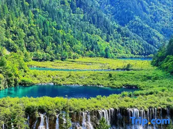 Jiuzhaigou Jianshan Shishan Garden Beautiful Homestay