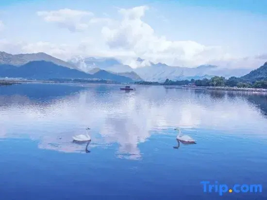 Shennongjia Lily Hotel (Dajiuhu Pingqian Ancient Town)