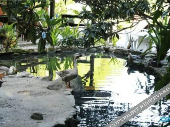 Sitio Das Bromelias