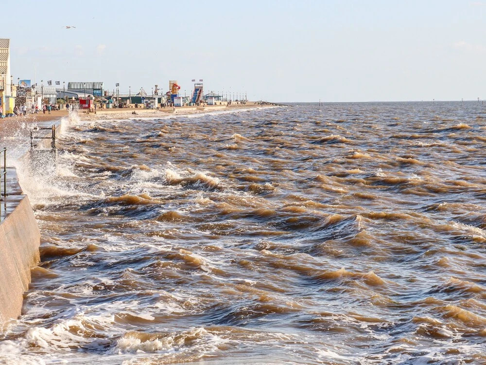 Sea Breeze