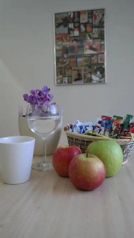 City Inn Riga Apartment, new renovated in Quiet center with balcony with parking