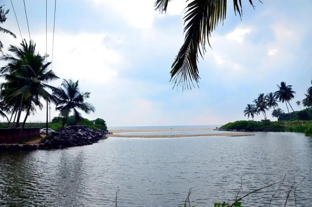 Ocean Green Kerala