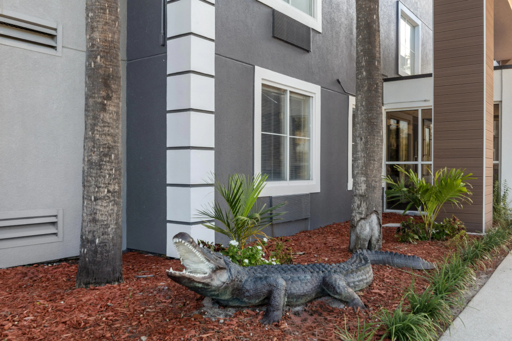 HOM Hotel Gainesville, SureStay Collection by Best Western