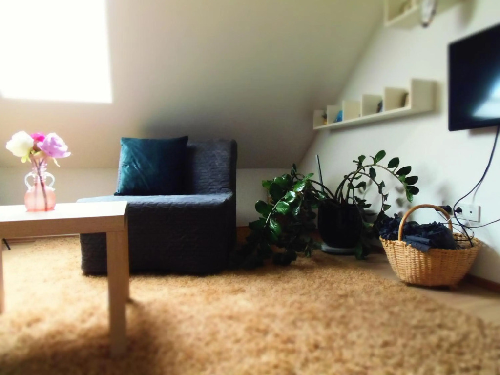 Apartman Katarina