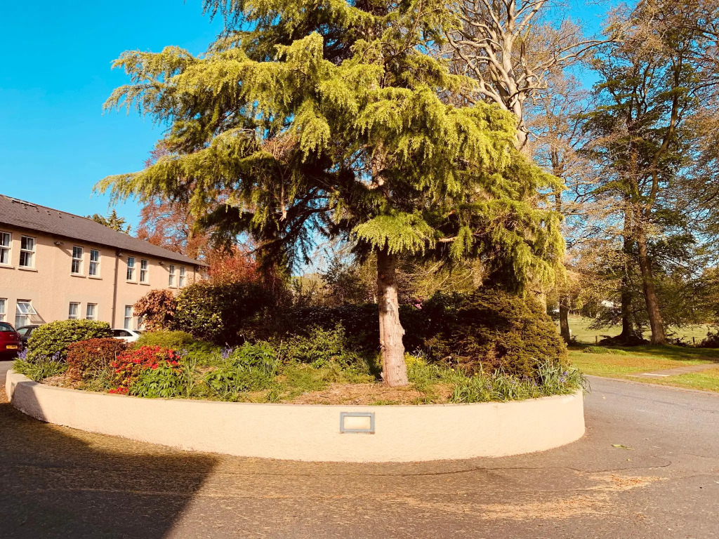 The Bannville Hotel