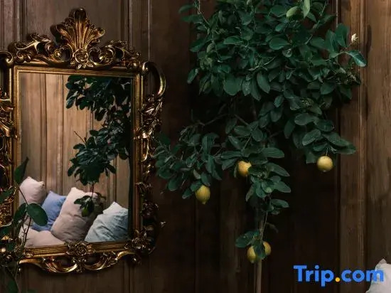 Heart-warming place homestay