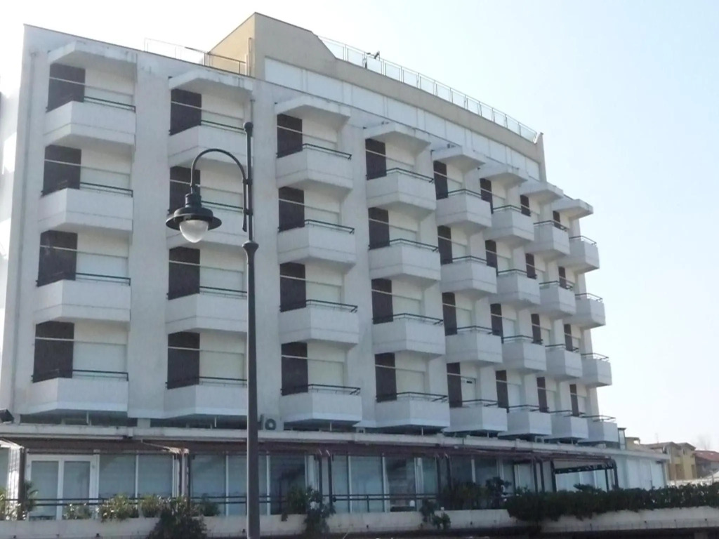 Hotel David