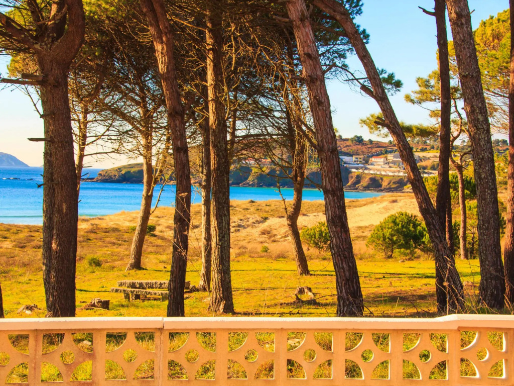 Comfortable Apartment in Sanxenxo with Terrace