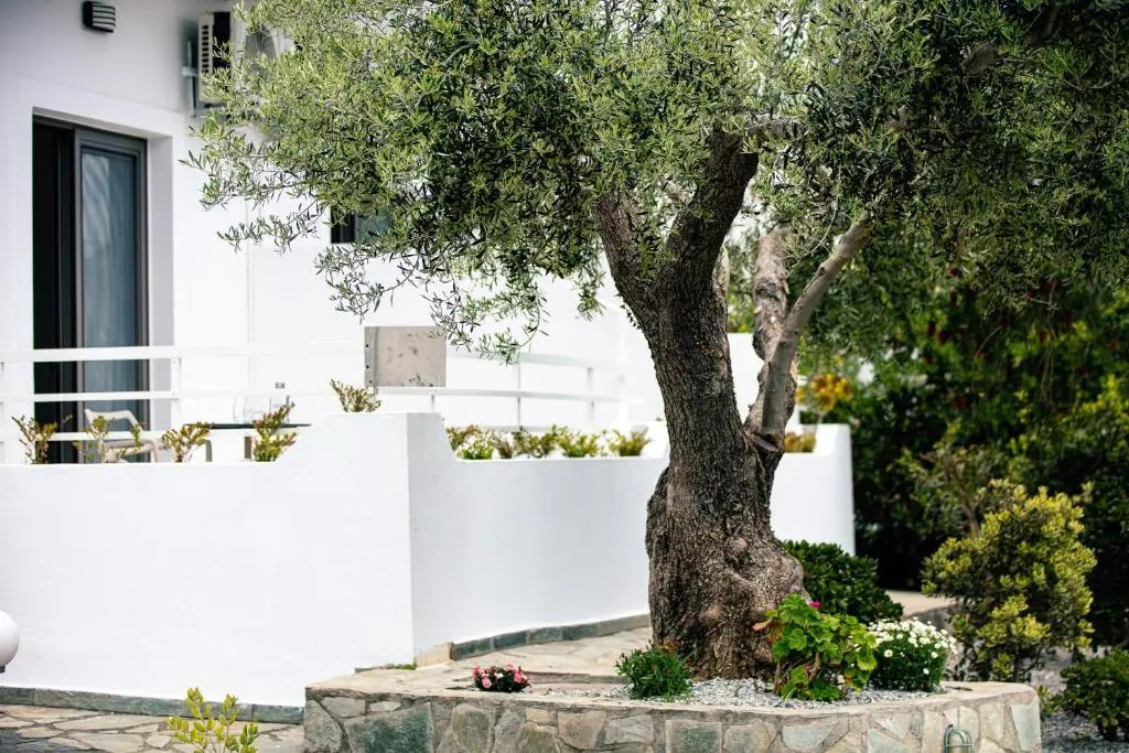 Ariadne Suites