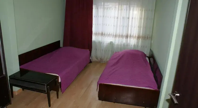 Apartment at Melikishvili
