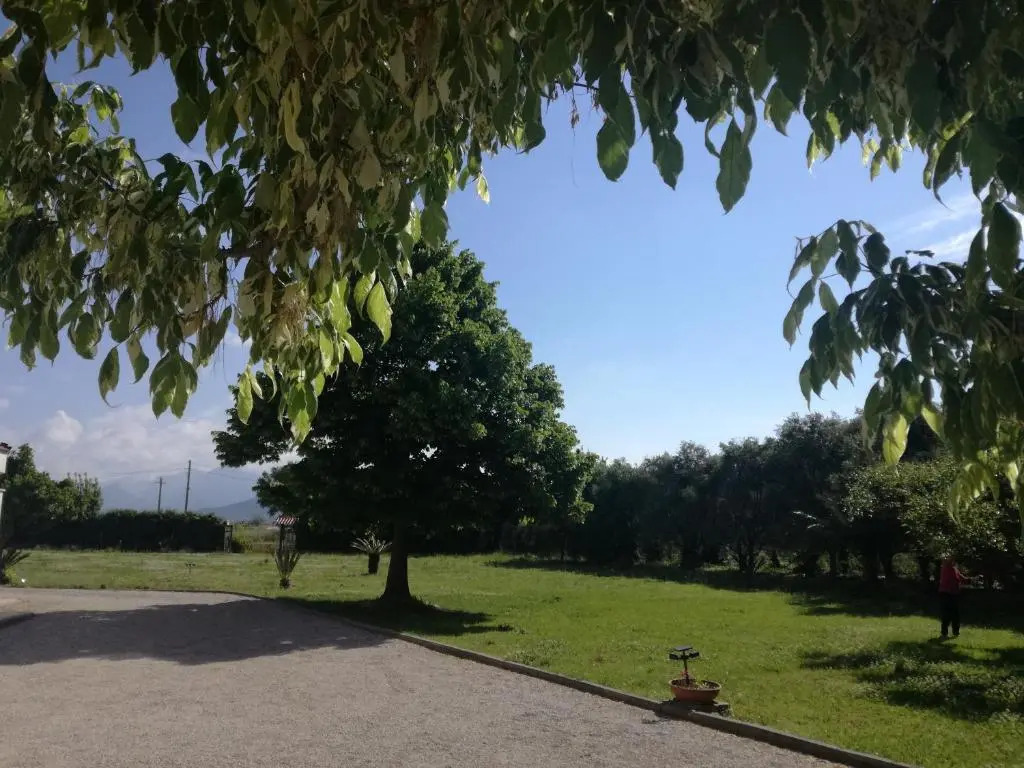 B&B Villa Napoli