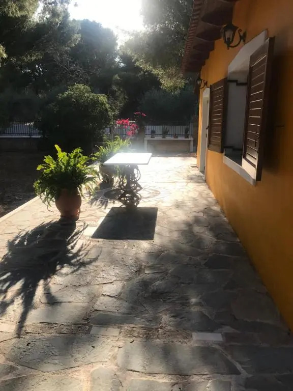 The Yellow House