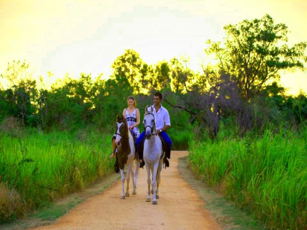 Ayugiri Ayurveda Wellness Resort Sigiriya