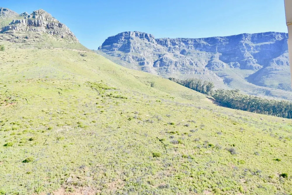 Bright Studio on the Slopes of Table Mountain